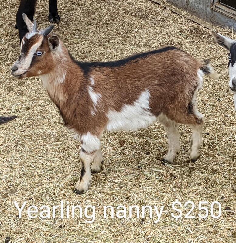 MeWe - The Next-Gen Social Network