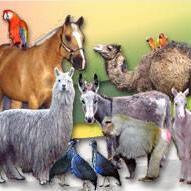 MeWe - The Next-Gen Social Network