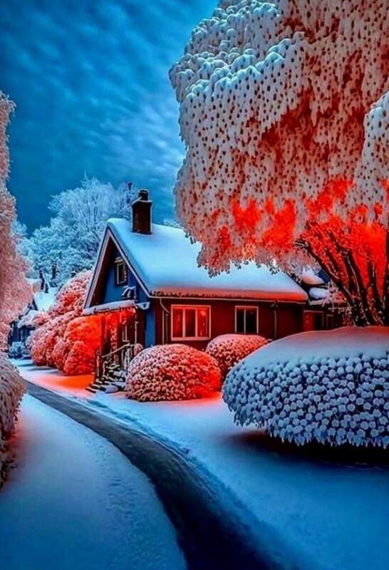 MeWe The NextGen Social Network